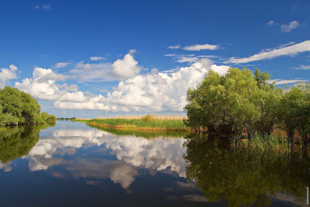 Плавни реки