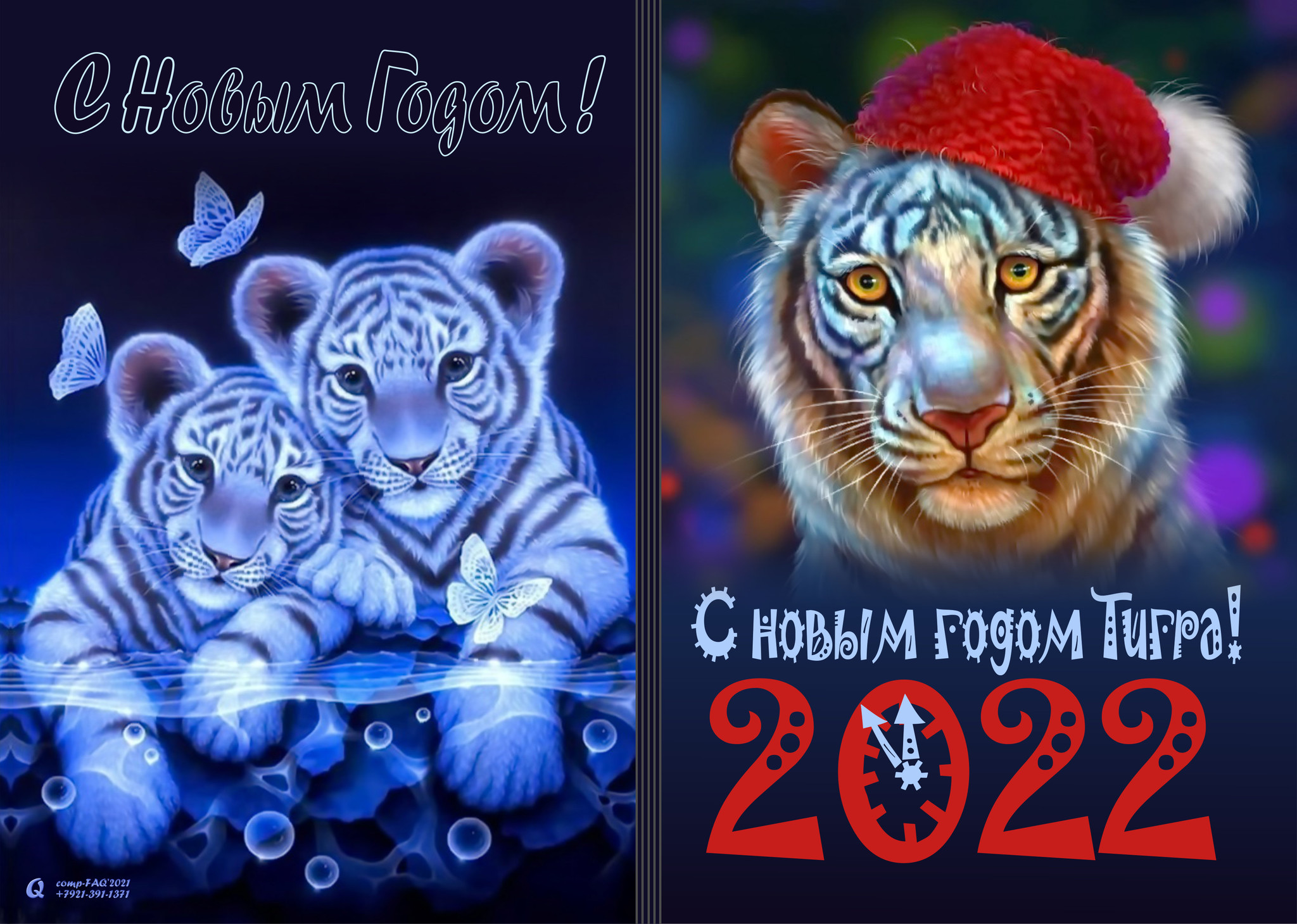 2022 Год год тигра